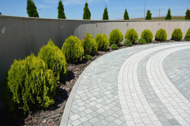 Driveway Repair Near Me in Wolf Trap, VA